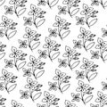 Jasmin plant sketch seamless pattern. Hand drawn ink art design object isolated stock vector illustration